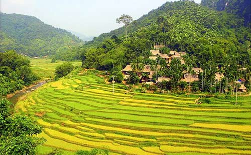 Tour du lịch Pù Luông 1 ngày