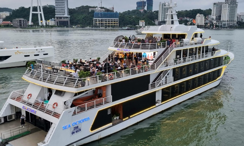 Du thuyền Hạ Long Sea Octopus