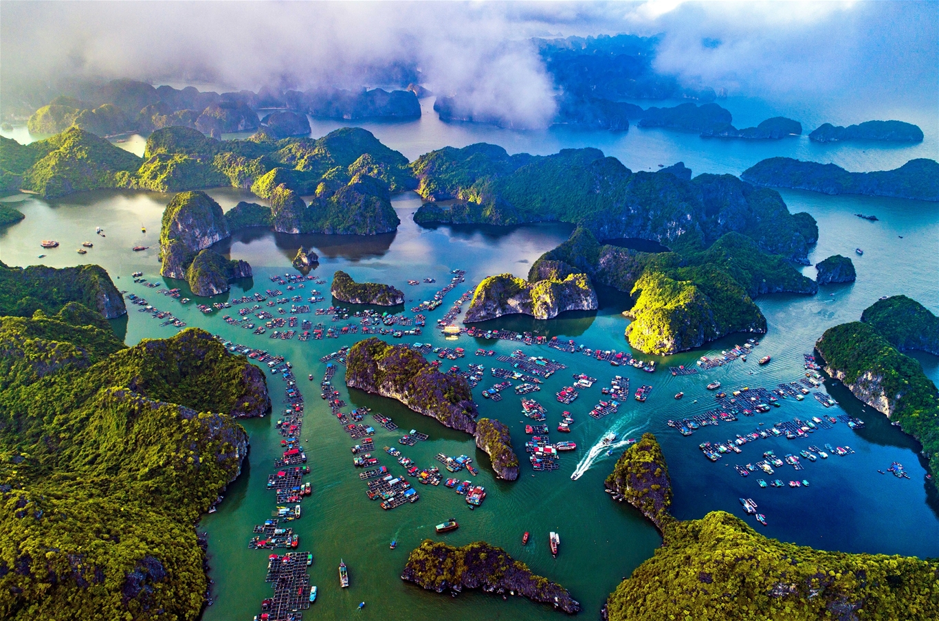  Tour Vịnh Lan Hạ Cát bà nửa ngày